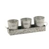 Galvanized Set of Three Planters With Tray, Gray