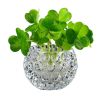 Plant Flower Pot,Transparent Flower Arrangement,Crystal Ball Glass Vase