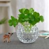 Plant Flower Pot,Transparent Flower Arrangement,Crystal Ball Glass Vase