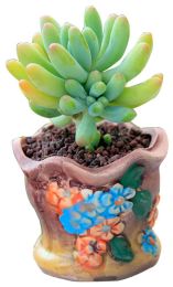 Small Plant Pot Flower Pot Plant Pot Ceramic Plant Pot