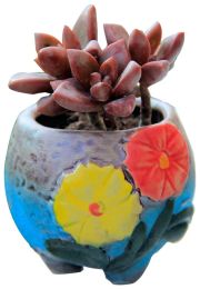 Mini Flower Pot Ceramic Flower Pot Flower Pot Plant Pot