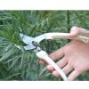 Gardening Tools Picking Pruning Flowers Pruning Shears