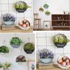 Best Round Wall Hanging Plant  Iron Planter Wall Hanging Container Succulent Plant Pots,A