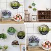 Best Round Wall Hanging Plant  Iron Planter Wall Hanging Container Succulent Plant Pots,C