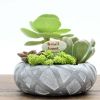 European Retro Resin Nest Pots Micro Landscape Creative Storage Box