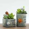 Ocean Fishing Resin Pots Micro Landscape Creative Storage Box