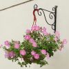 European Contracted Design Garden Plant Hook/31x28CM