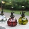 Creative Zakka Glass Water Cans Vintage Gardening Watering 6.2*3.5" Wine