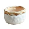 OVAL Decor/Creative Gift Flower Pot Earthen Vintage Planter For Succulent