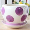 Creative Decor Lovely Garden Soccer Earthenware Planter Flower Pot 4.3" Purple