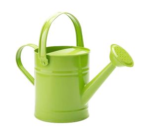 Watering Can Watering Watering Can Gardening Tools Watering Kettle Iron (Color: Green)