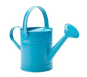 Watering Can Watering Watering Can Gardening Tools Watering Kettle Iron (Color: Blue)