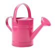 Watering Can Watering Watering Can Gardening Tools Watering Kettle Iron